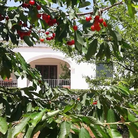 La Volpina Bed & Breakfast *