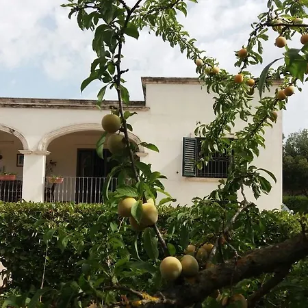 Bed & Breakfast La Volpina *