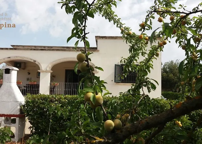 Bed & Breakfast La Volpina *